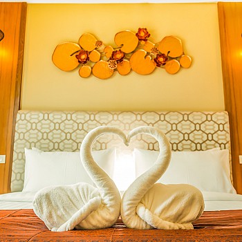 Premier Roomalt=